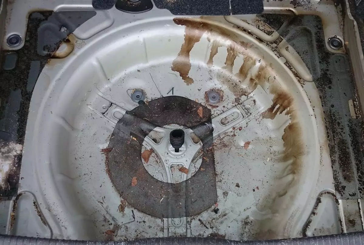 Innenaufbereitung in Koblenz