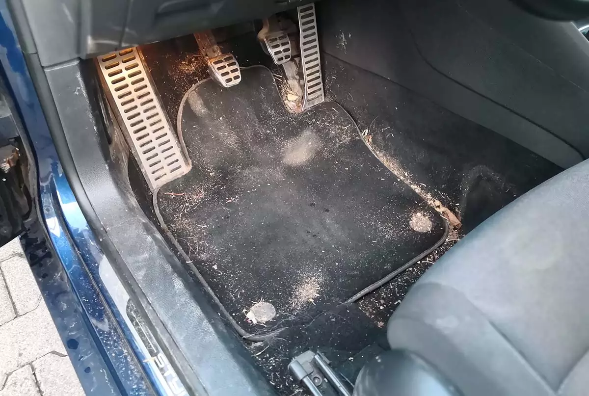 Innenaufbereitung in Koblenz