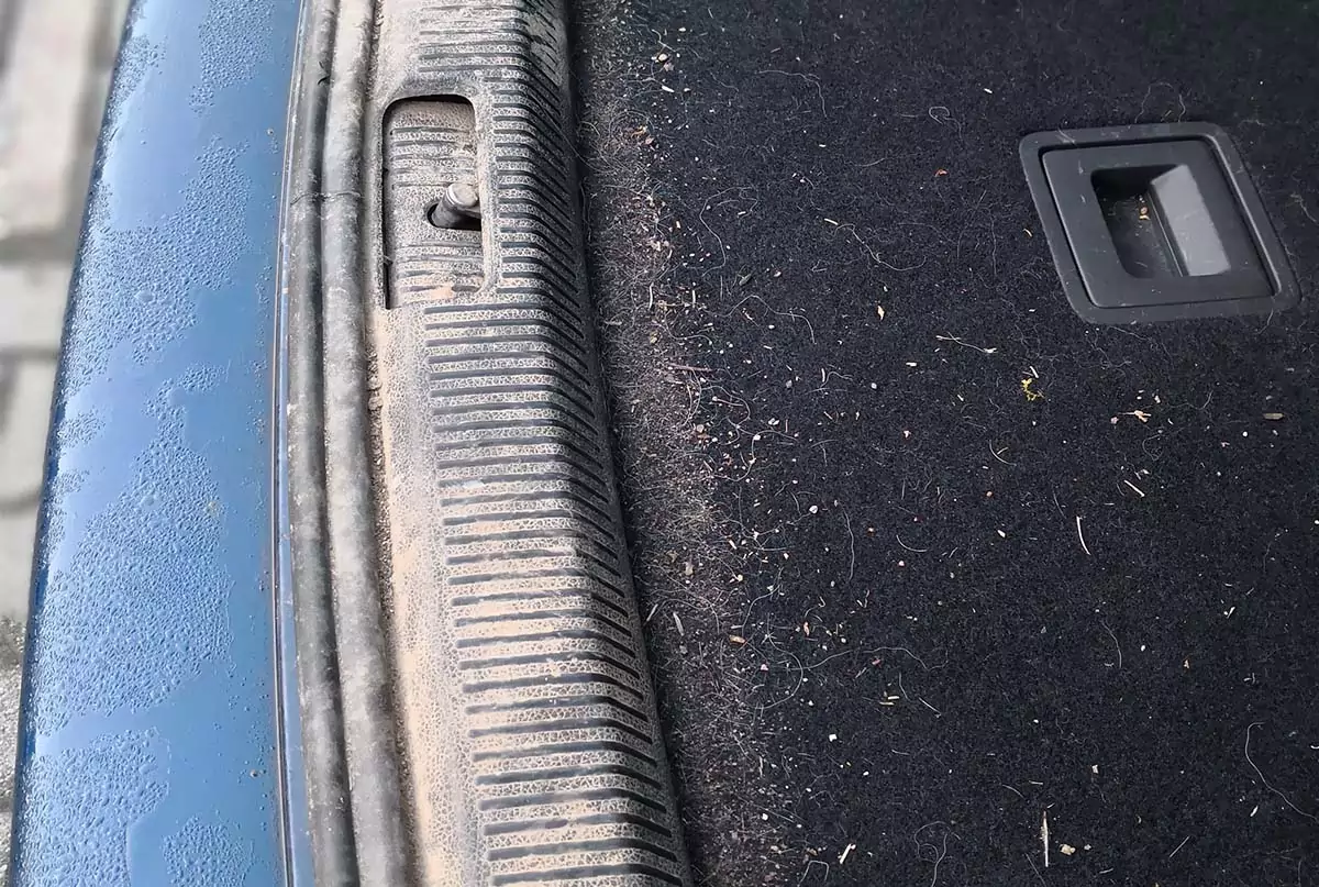 Innenaufbereitung in Koblenz